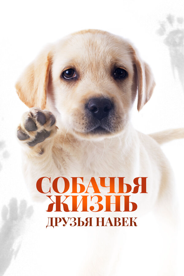 Собачья жизнь: Друзья навек постер - смотреть онлайн